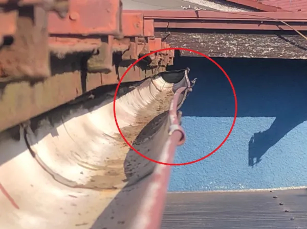 火災保険は火事だけじゃない！雨樋の破損にも使えるって本当？意外と知らない保険適用のカラクリと注意点を徹底解説