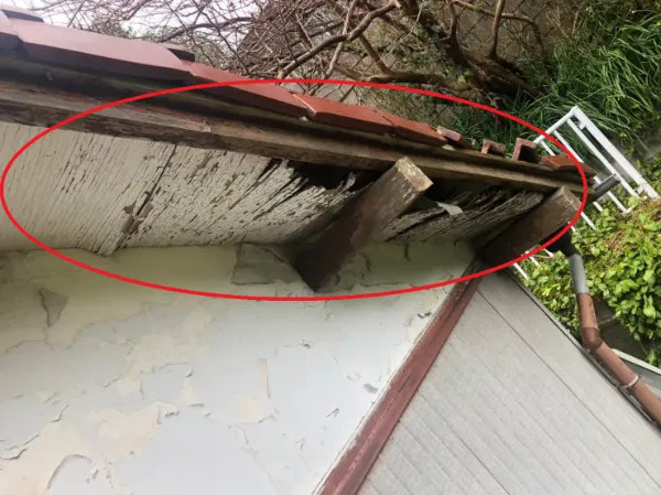 台風後は特に注意！気づかないと雨漏りやシロアリ被害の原因にも…今すぐ確認したい“軒天の破損”チェックポイント5選