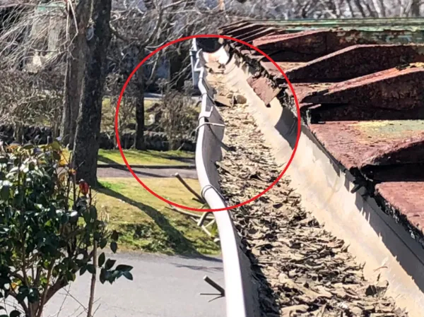 築10年を超えたら要警戒！ たった1ヵ所の雨樋破損が引き起こす住宅全体のトラブルと修理のポイント