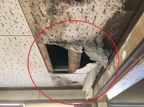 【雨漏りの問い合わせが急増中】丸山建設にご相談が集中している3つの背景と、今こそ必要な「早期点検」のすすめ