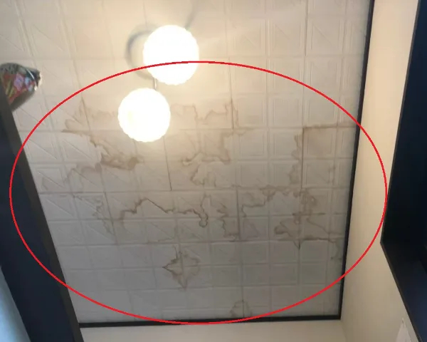 雨漏り調査って何をする？5つの調査方法と費用相場を徹底解説｜放置すると修理費が数倍になる前に知っておきたいポイント