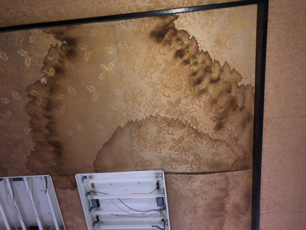 雨漏り修理の費用が心配な方へ｜火災保険が適用されるケース・されないケース、必要書類と注意点をプロが詳しく解説