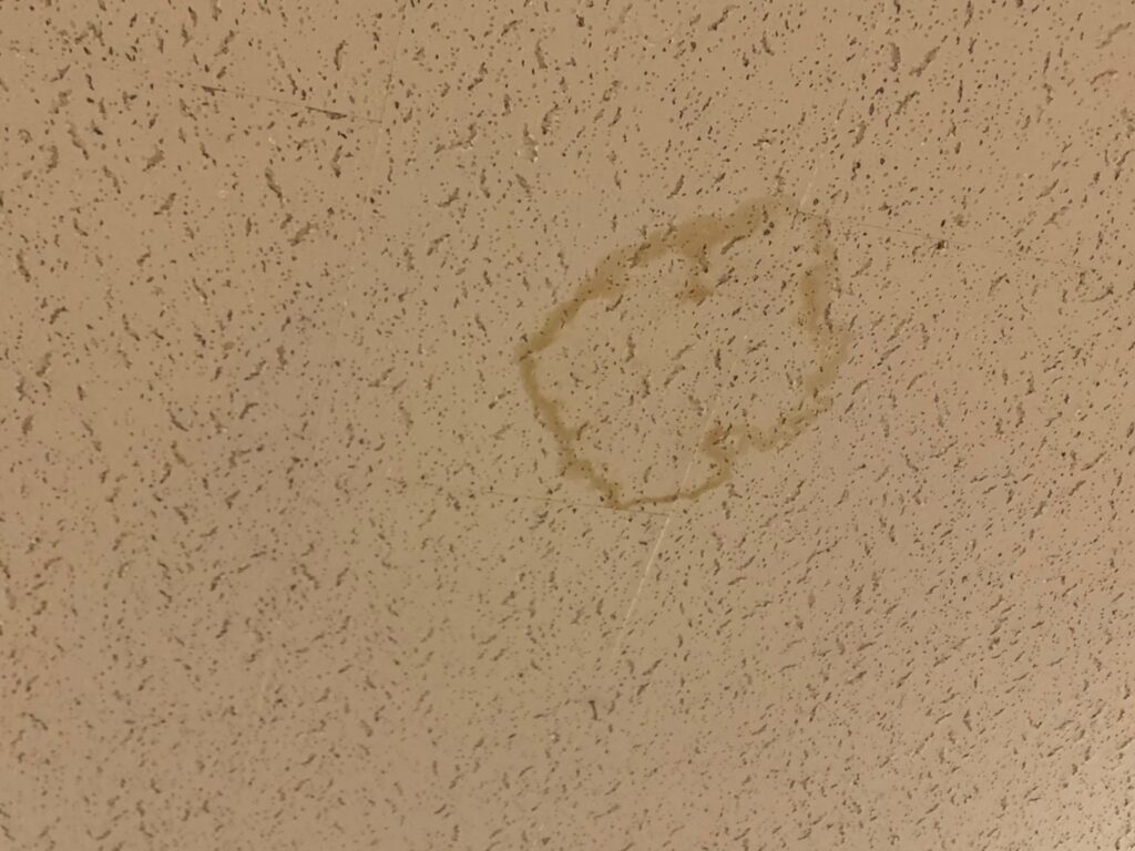 繰り返す雨漏りに悩む方必見！さいたま市で家を長持ちさせるために今すぐ始めたい屋根・外壁の定期チェックと予防修繕のポイント