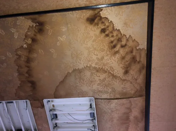 繰り返す雨漏りに悩む方必見！さいたま市で家を長持ちさせるために今すぐ始めたい屋根・外壁の定期チェックと予防修繕のポイント