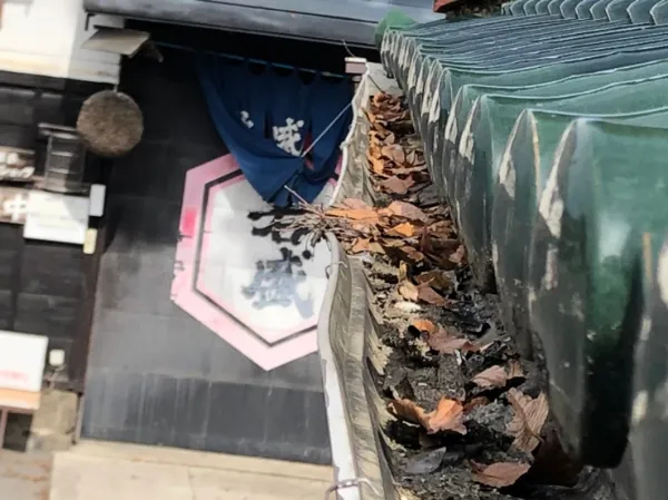 雨水がすっと流れないと危険！鴻巣市で雨樋詰まりによる雨水あふれ被害が続出｜家族と住まいを守るための見極めポイントと清掃のベストタイミング