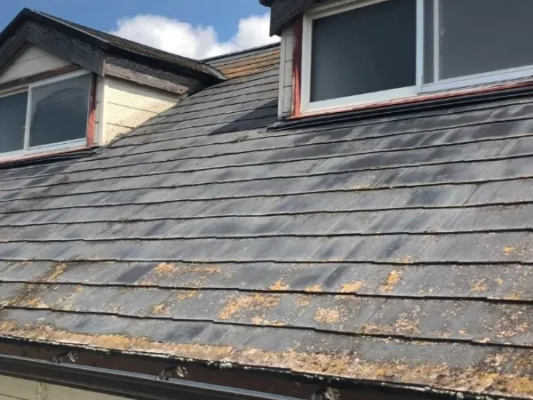 屋根塗装と耐風補強を同時施工で一石二鳥！さいたま市の住宅を強風から守り、飛ばされない屋根にする最新工法と費用・耐久性のポイントまで徹底解説