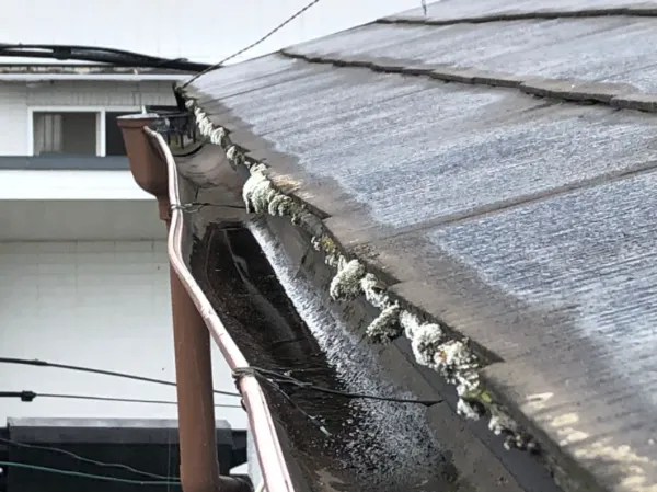 見えないうちに家全体が傷む！？川越市で多発中の雨樋破損を放置した結果と、“外壁・基礎・屋根に及ぶ3つの意外な被害”を写真で徹底解説