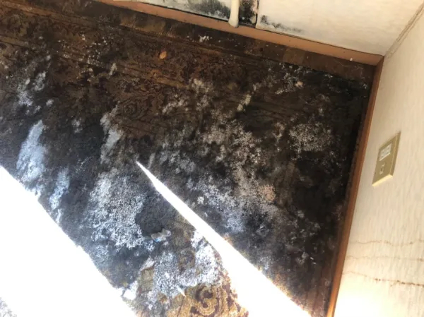 冬が来る前に必見！ さいたま市で増えている“寒さ・結露・光熱費アップ”を防ぐための、 家をしっかり守る5つの冬支度点検ステップとは？