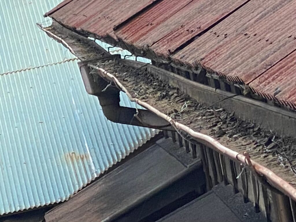 さいたま市の住宅で雨樋の詰まりを放置した結果…?外壁劣化・雨漏りを招く意外な原因と正しい清掃方法