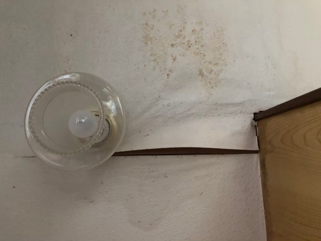 大宮で軒天劣化を先延ばしすべきでない理由　雨漏り発生前の修理が住まいの寿命と修繕費に大きく影響する