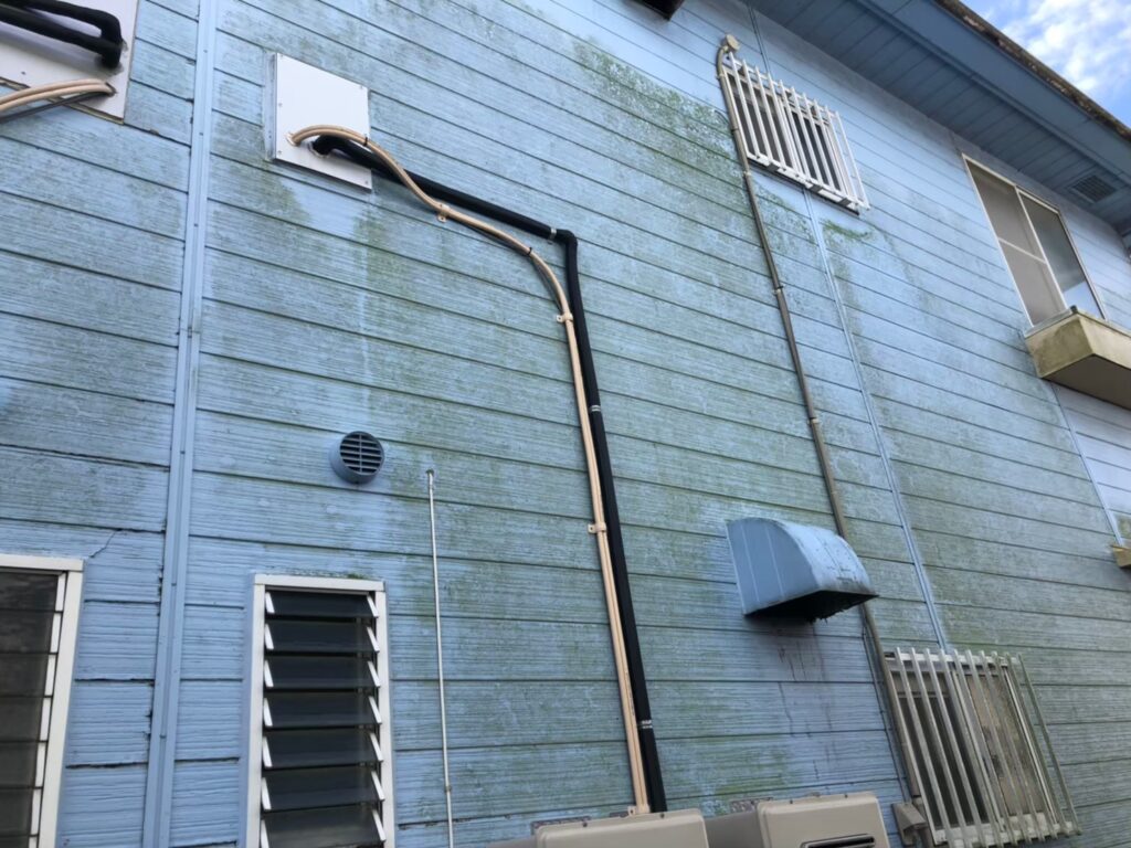 経年劣化により外壁に藻やカビの汚れが発生している状態