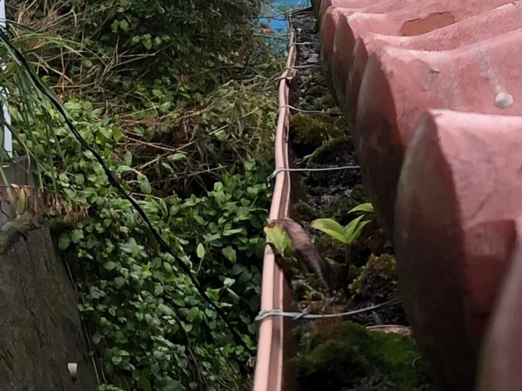 川口市の戸建てで多い雨樋トラブル 排水不良を放置すると基礎まで傷む危険性と、保険申請で費用を抑える方法