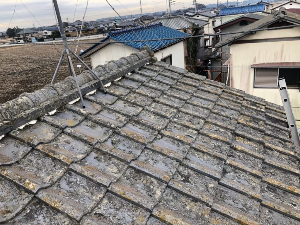 経年劣化で屋根表面に汚れ・苔が広がっている状態