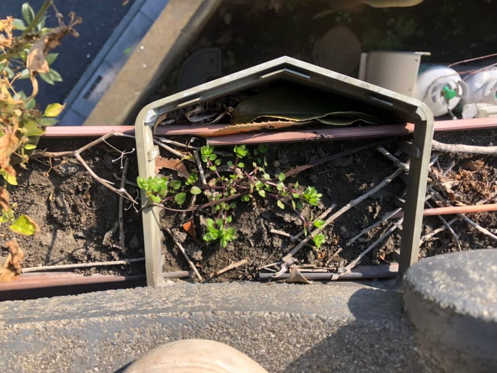 さいたま市の住宅で雨樋の詰まりを放置した結果…?外壁劣化・雨漏りを招く意外な原因と正しい清掃方法