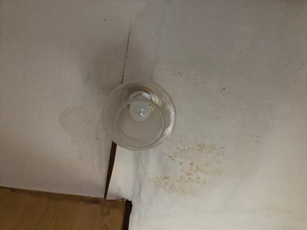 さいたま市で雨漏りの前兆を見逃さないために 天井のシミやカビが教える劣化サインと、火災保険活用で修理費を軽減する賢い選択肢