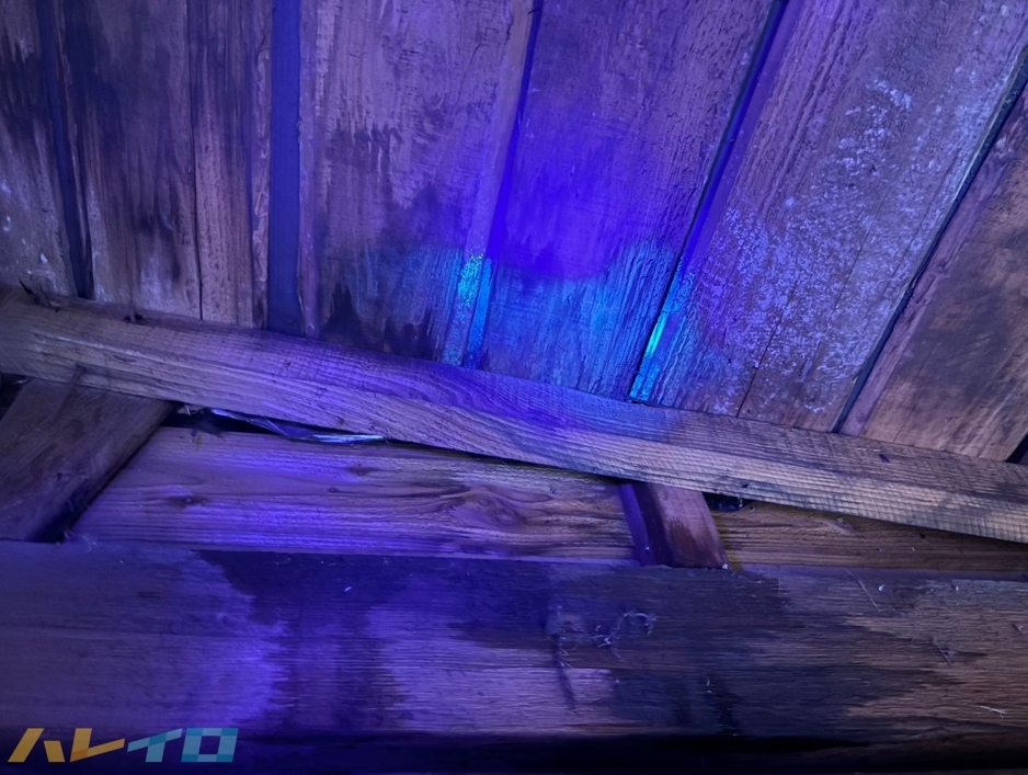 丸山建設株式会社が2019年の台風被害現場で撮影した、棟板金の飛散により屋内天井へ雨漏りのシミが生じている状況の写真