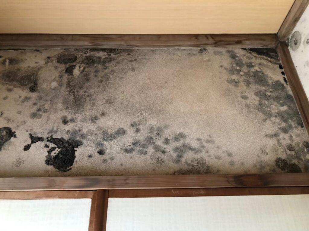 さいたま市で雨漏りの前兆を見逃さないために 天井のシミやカビが教える劣化サインと、火災保険活用で修理費を軽減する賢い選択肢