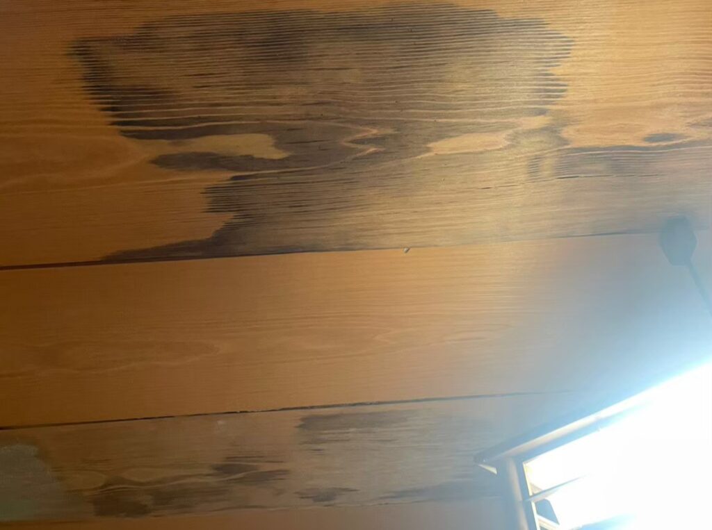 室内の天井に雨漏りでシミが広がっている状態