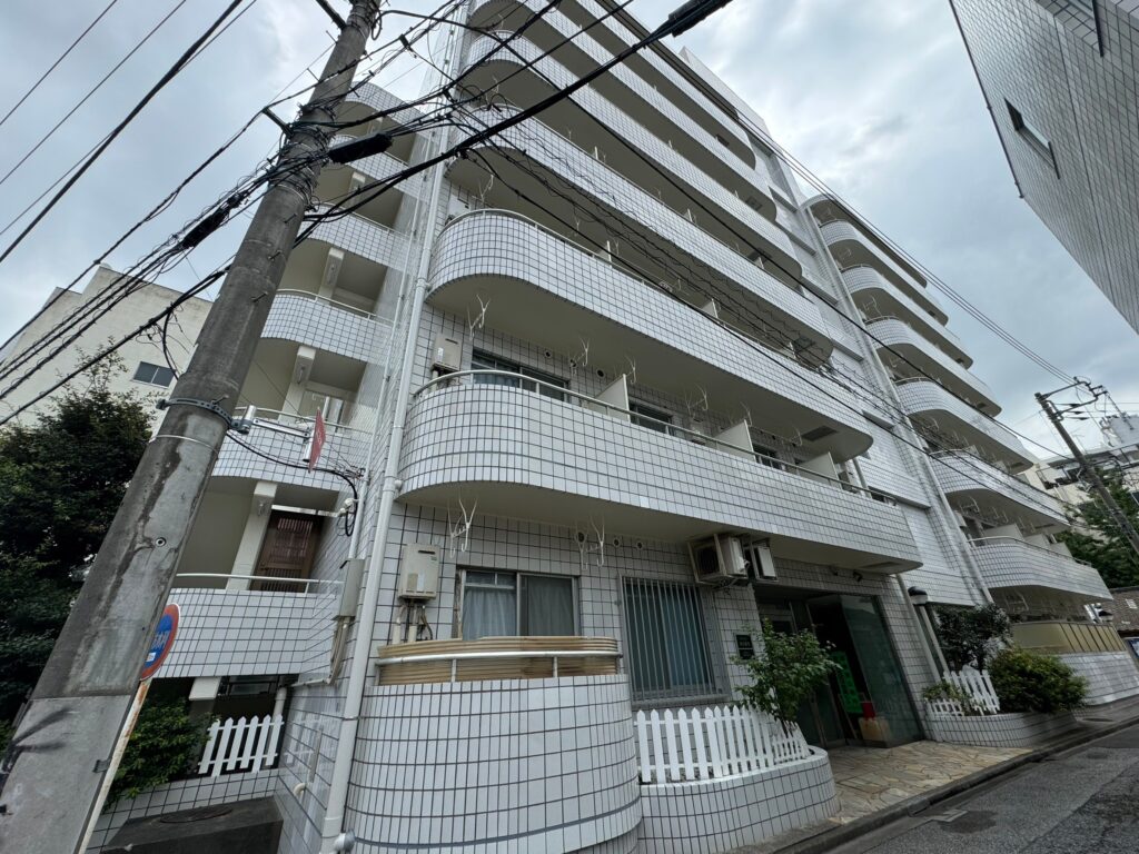 仮設足場を解体した後の全景の写真