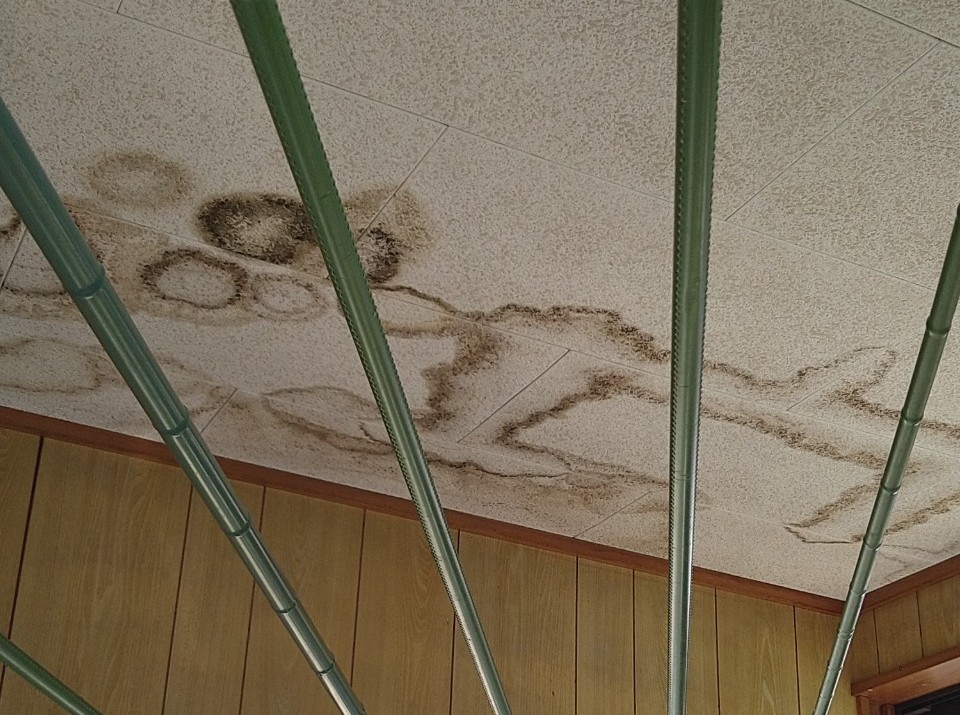 さいたま市で雨漏りの前兆を見逃さないために 天井のシミやカビが教える劣化サインと、火災保険活用で修理費を軽減する賢い選択肢