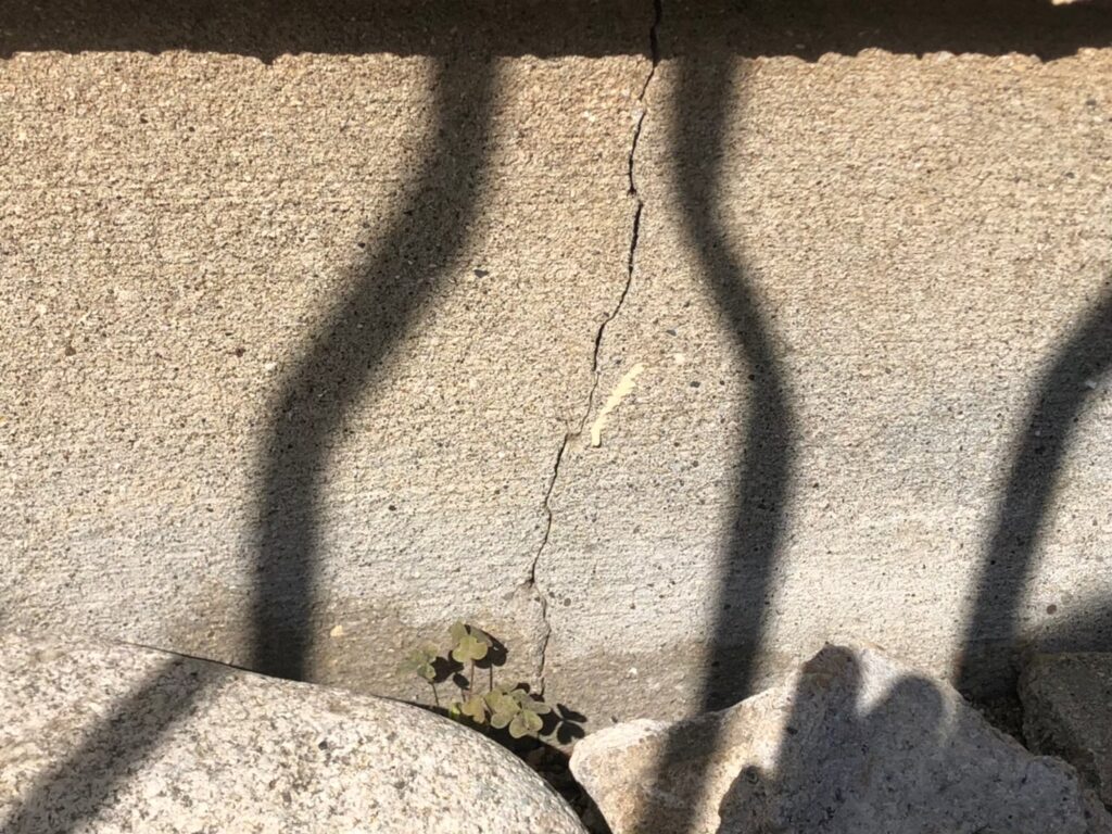 地震の影響により基礎表面にひび割れが広がり、劣化が進行している状況