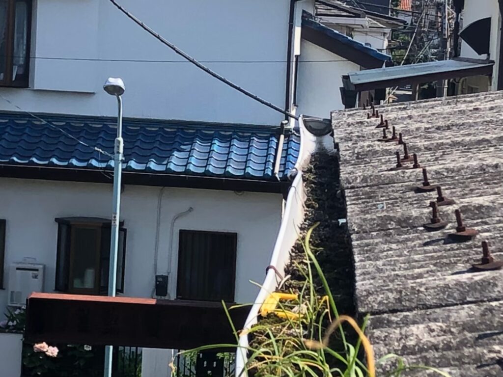 雨樋内部に泥が詰まり、雨水が正常に流れていない状態