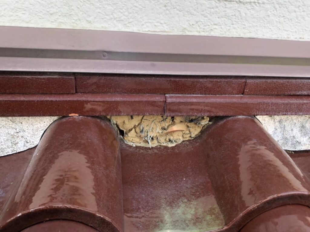 棟部分の漆喰が崩れて飛散し、内部が露出している状態