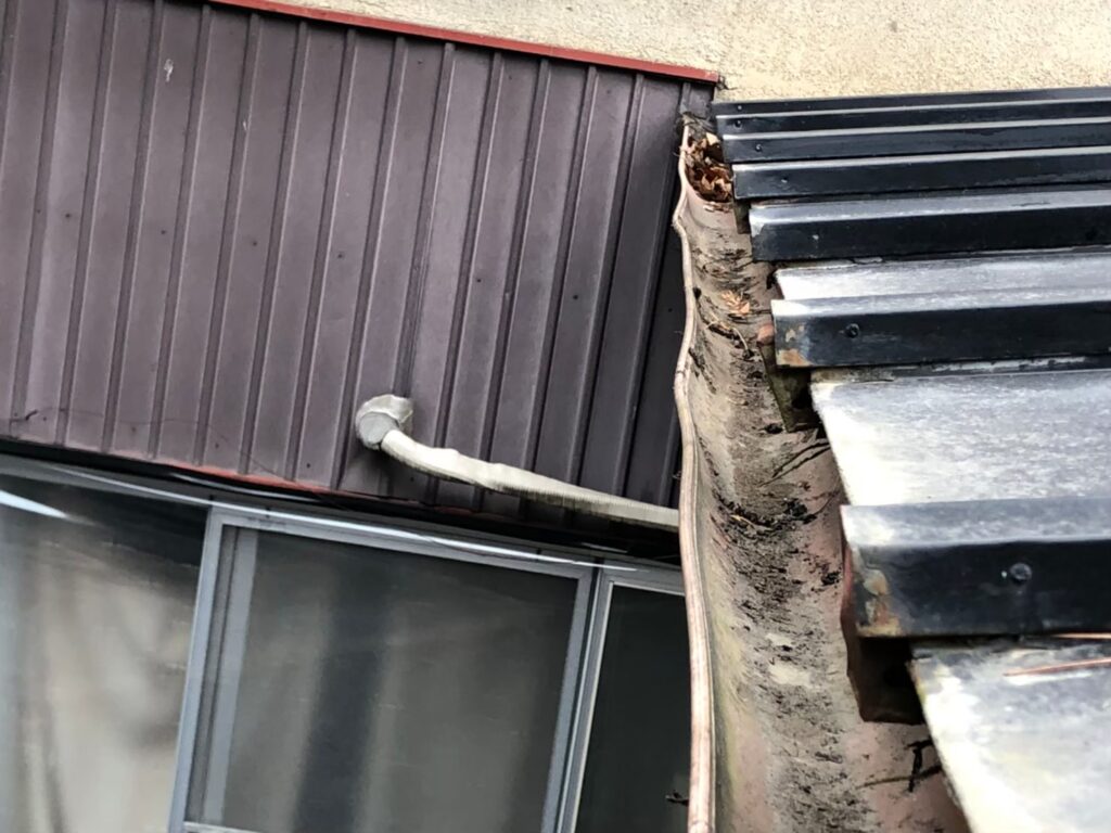雨樋内部に泥が詰まり、雨水が正常に流れていない状態