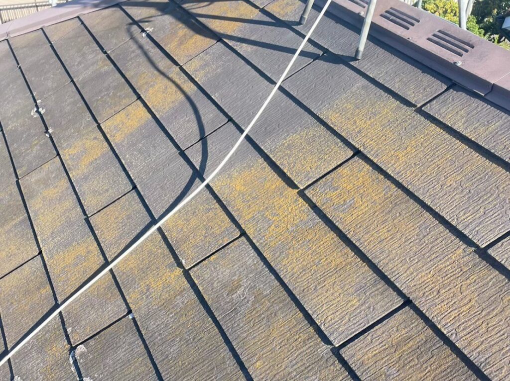 経年劣化で屋根表面に汚れ・苔が広がっている状態