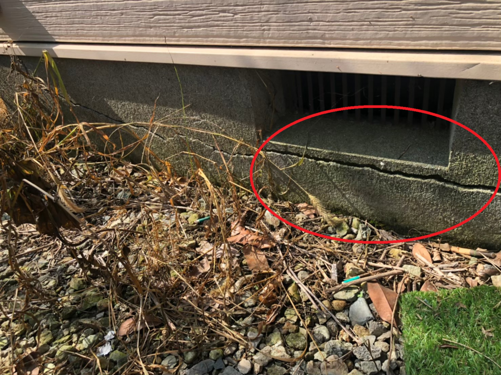 地震の影響により基礎表面にひび割れが広がり、劣化が進行している状況