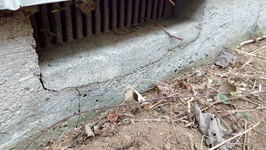 地震の影響により基礎表面にひび割れが広がり、劣化が進行している状況