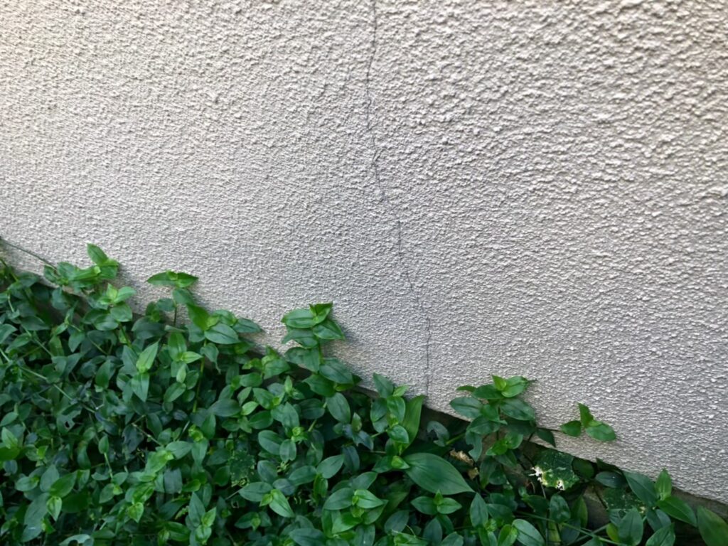 地震の影響により外壁表面にひび割れが発生し、防水性能が低下している状態