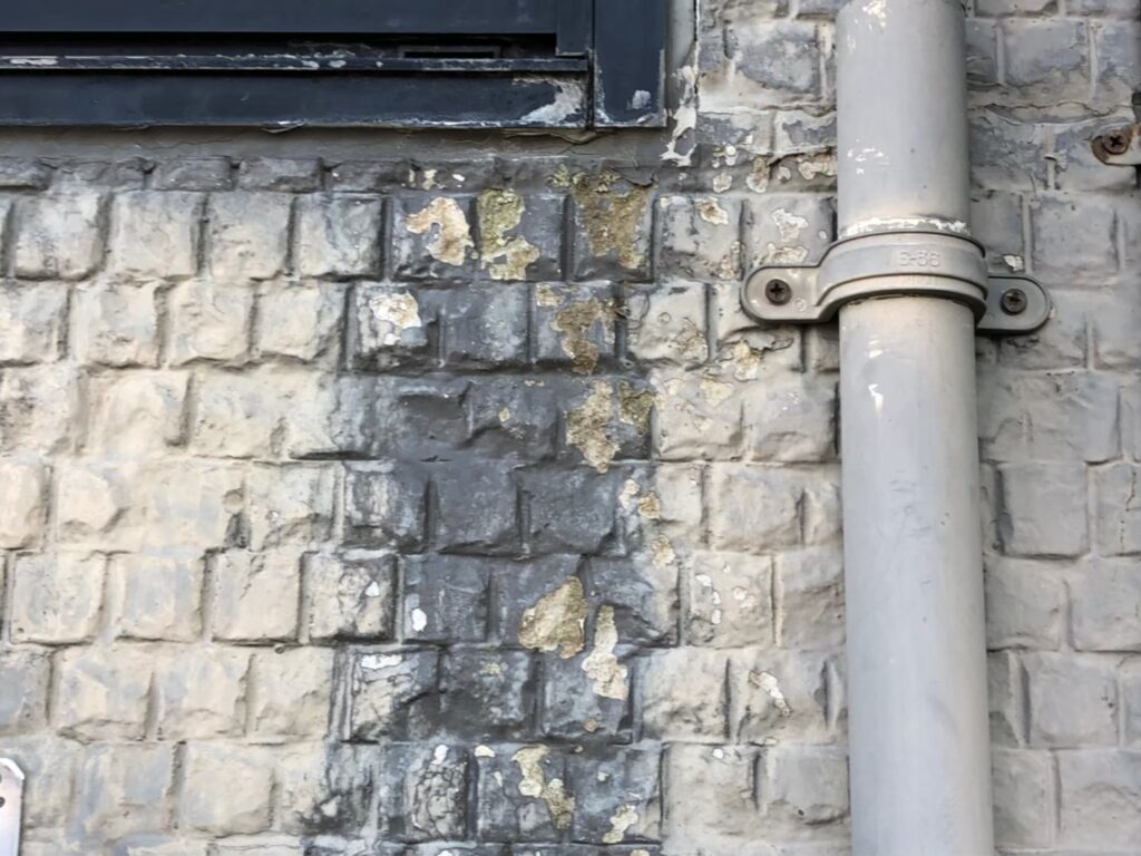 経年劣化により外壁に黒ずみ汚れが付着している状態