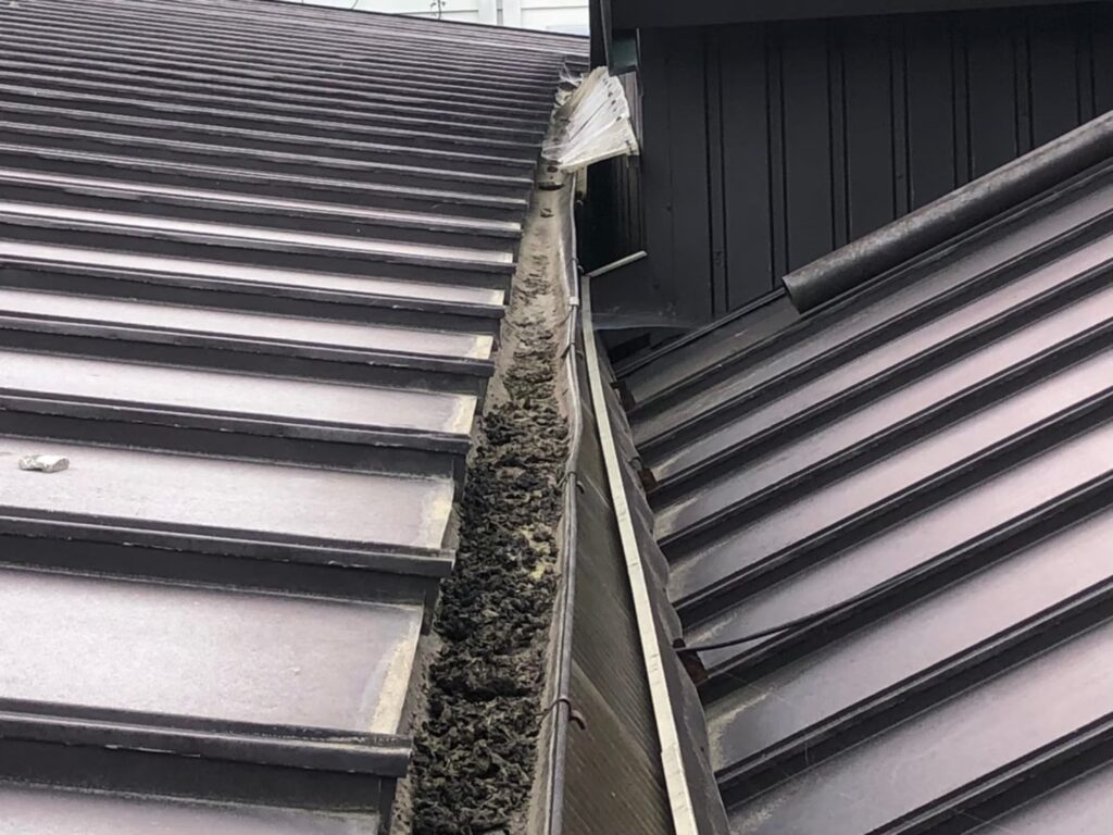 雨樋内部に泥が詰まり、雨水が正常に流れていない状態