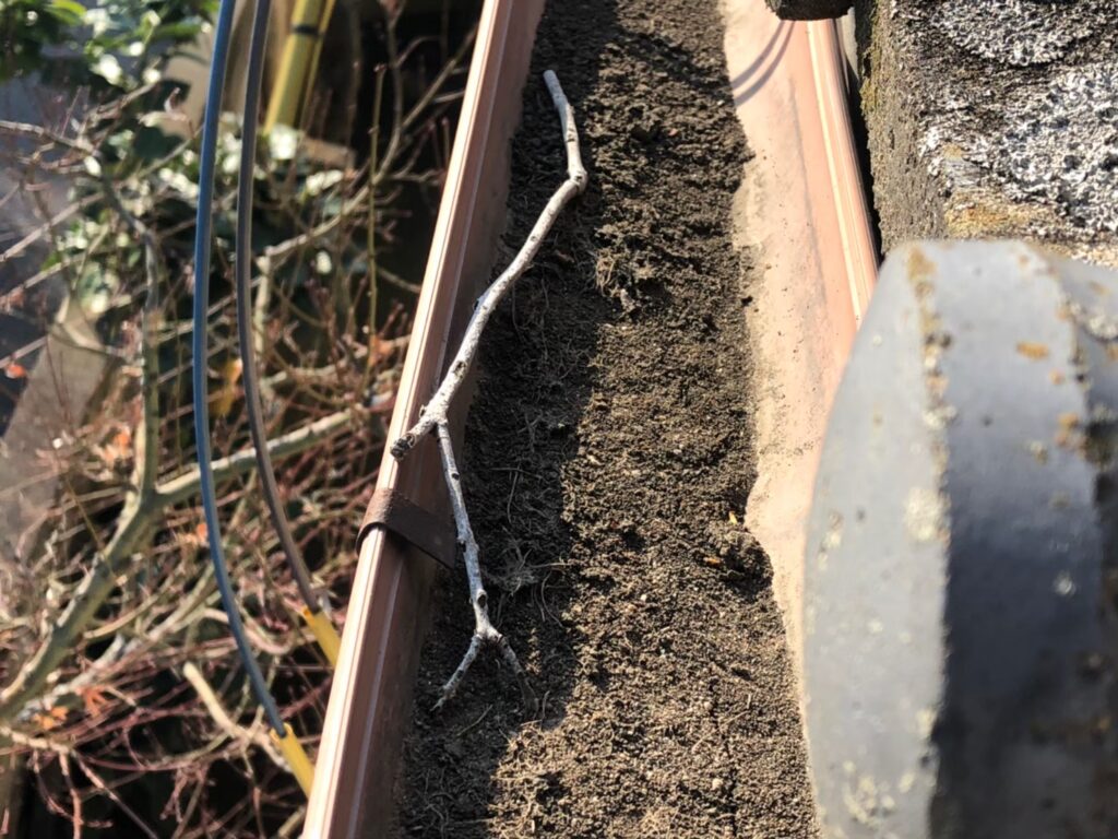 雨樋内部に泥が詰まり、雨水が正常に流れていない状態