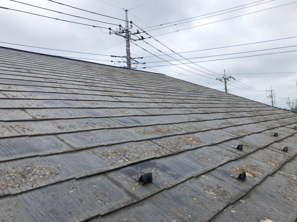 経年劣化で屋根表面に汚れ・苔が広がっている状態