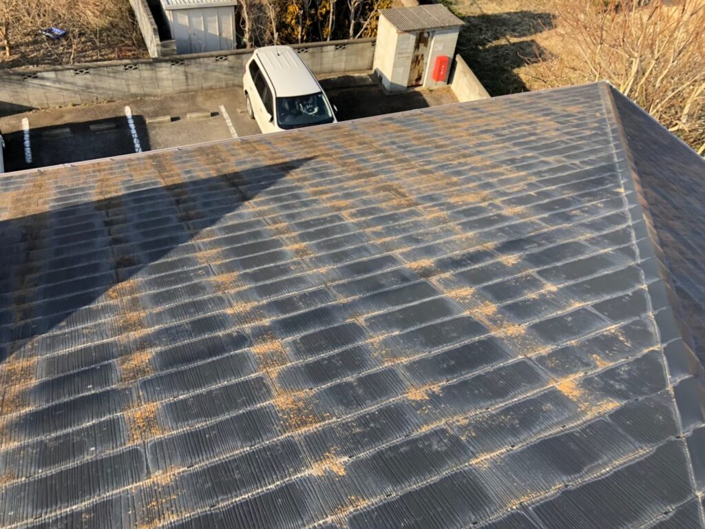 経年劣化で屋根表面に汚れ・苔が広がっている状態