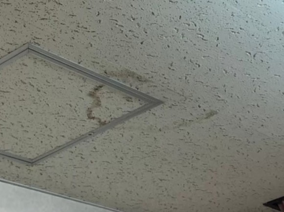 室内の天井に雨漏りでシミが広がっている状態