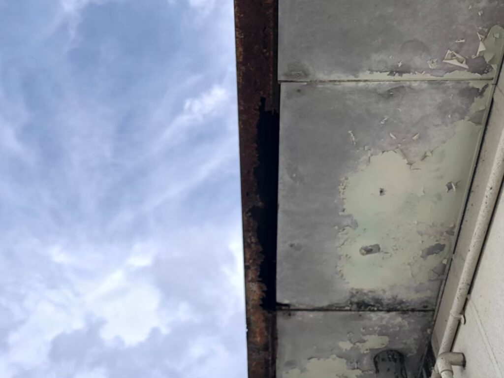 軒天に黒カビが発生し、腐食と破損が進んでいる状態