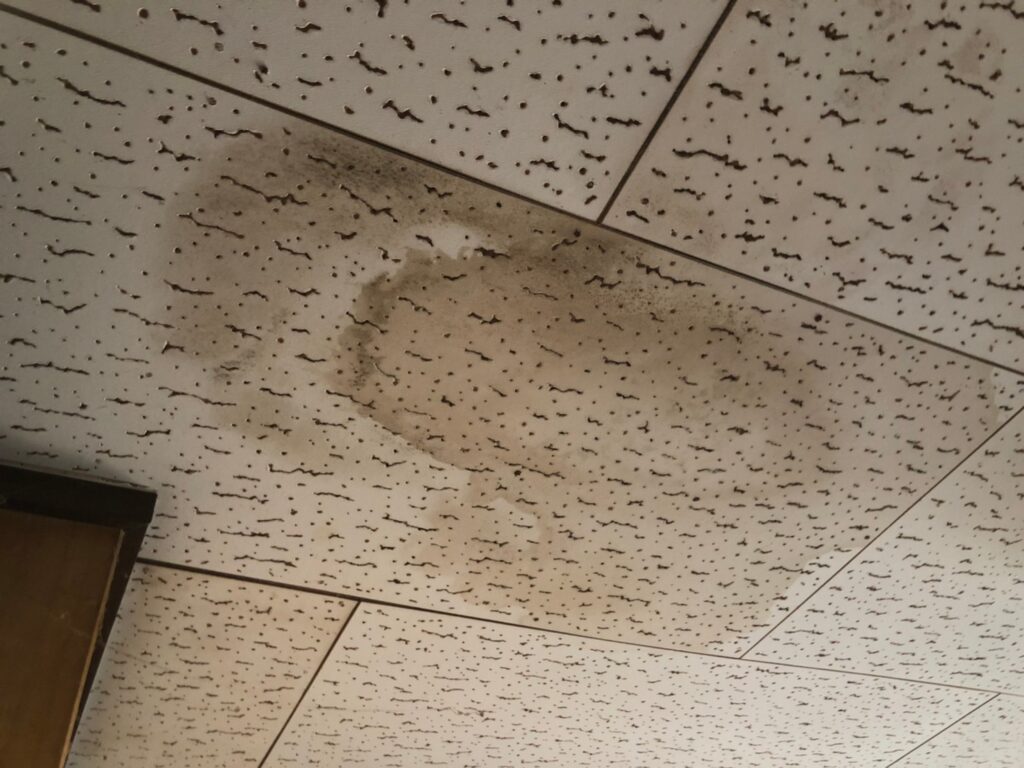 室内の天井に雨漏りでシミが広がっている状態