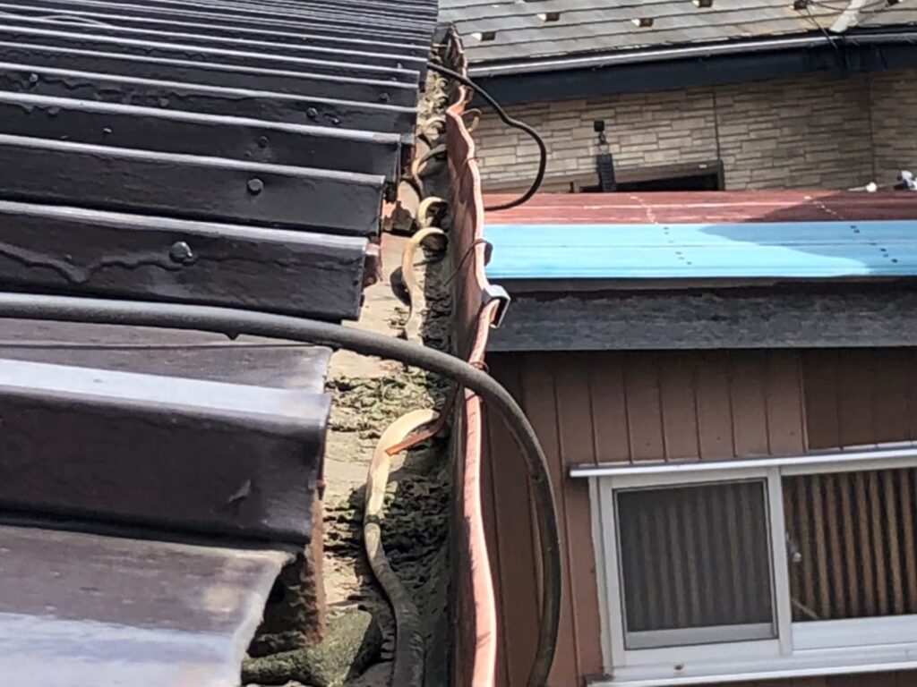 強風の影響により雨樋が大きく歪んでいる状態