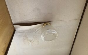 【渋谷区の施工事例】雨漏り修繕工事｜工事前に確認すべき注意点