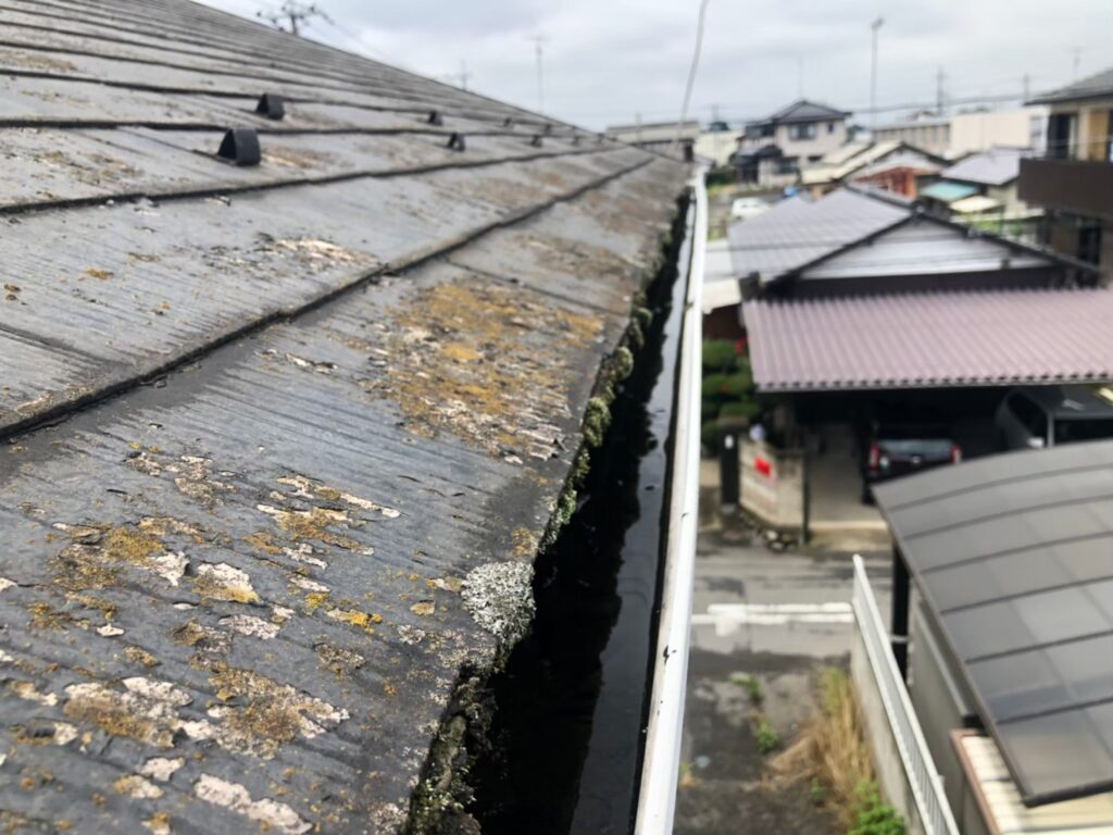 経年劣化で屋根表面に汚れ・苔が広がっている状態