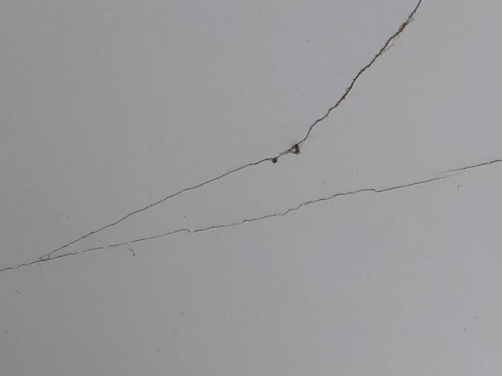 埼玉・大宮で地震後に外壁にひび割れを発見したら必読　小さな…