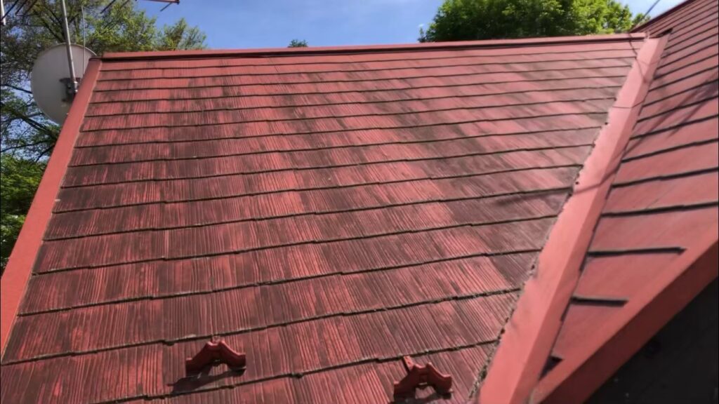 屋根材に黒ずみ汚れが発生し、防水性能が低下している状態