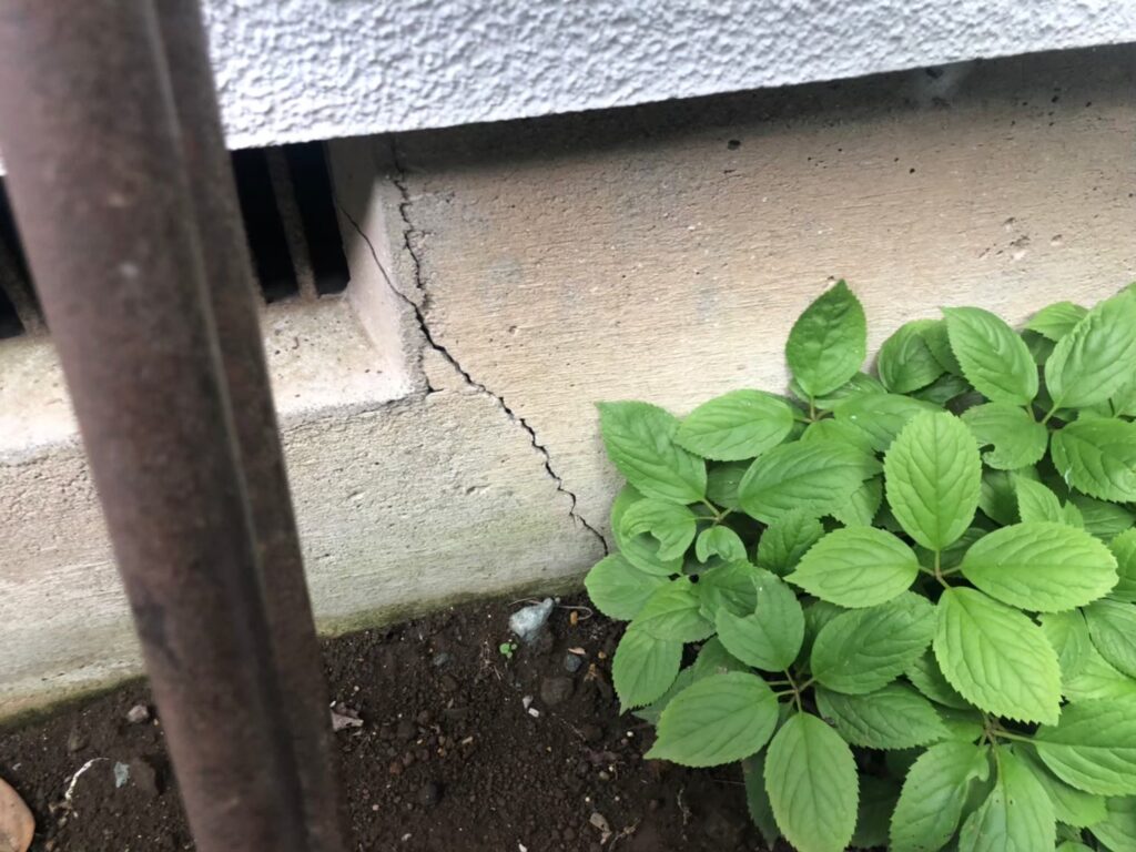 地震の影響により基礎表面にひび割れが広がり、劣化が進行している状況