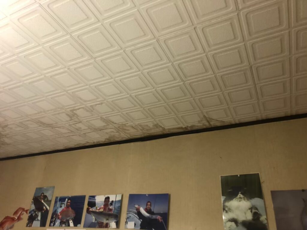 室内の天井に雨漏りでシミが広がっている状態