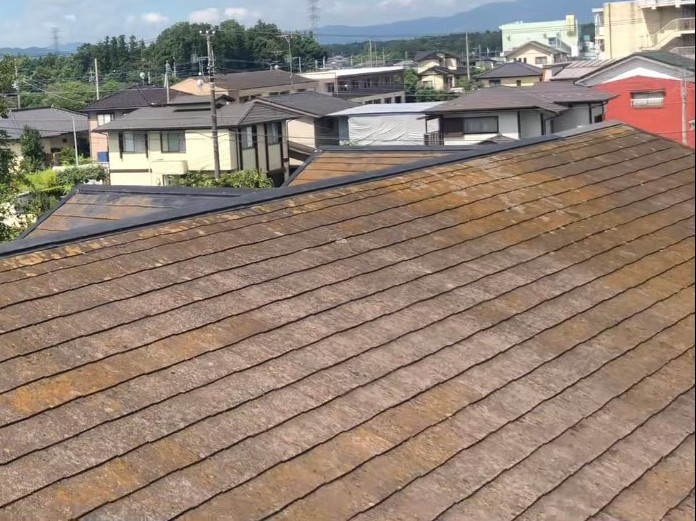 経年劣化で屋根表面に汚れ・苔が広がっている状態