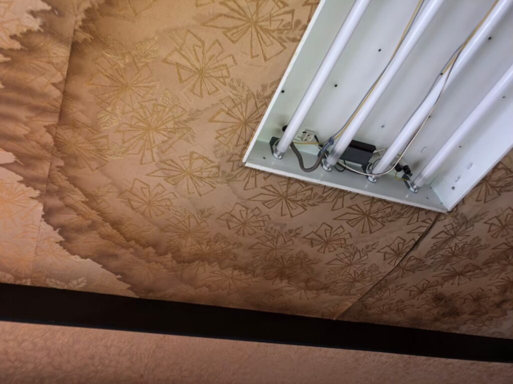 室内の天井に雨漏りでシミが広がっている状態