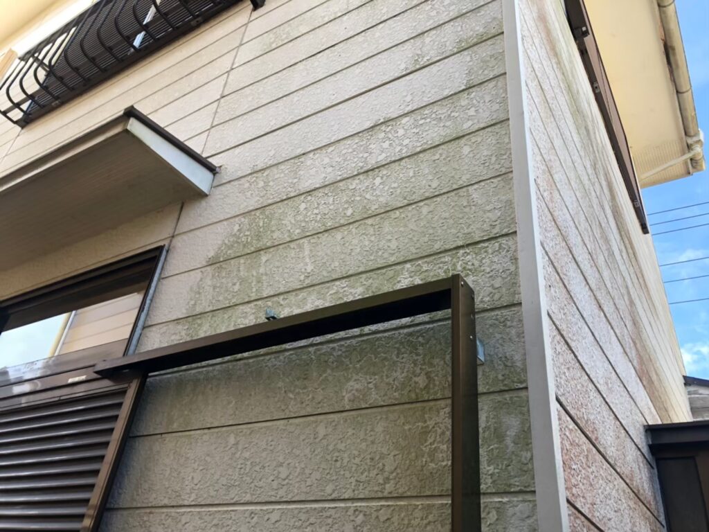 経年劣化により外壁に藻やカビの汚れが発生している状態